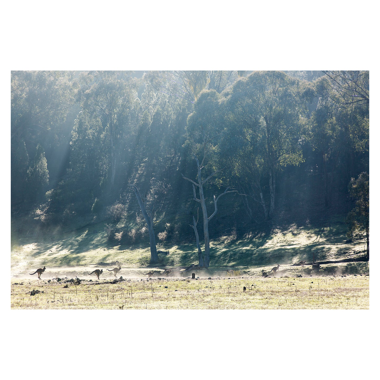 As the Fog Lifts unframed print