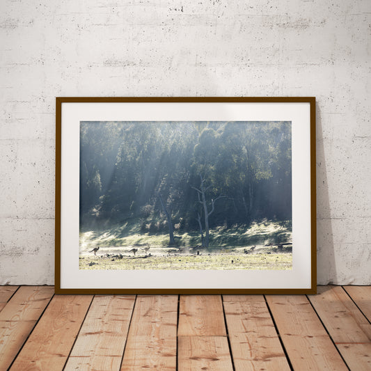 As the Fog Lifts unframed print