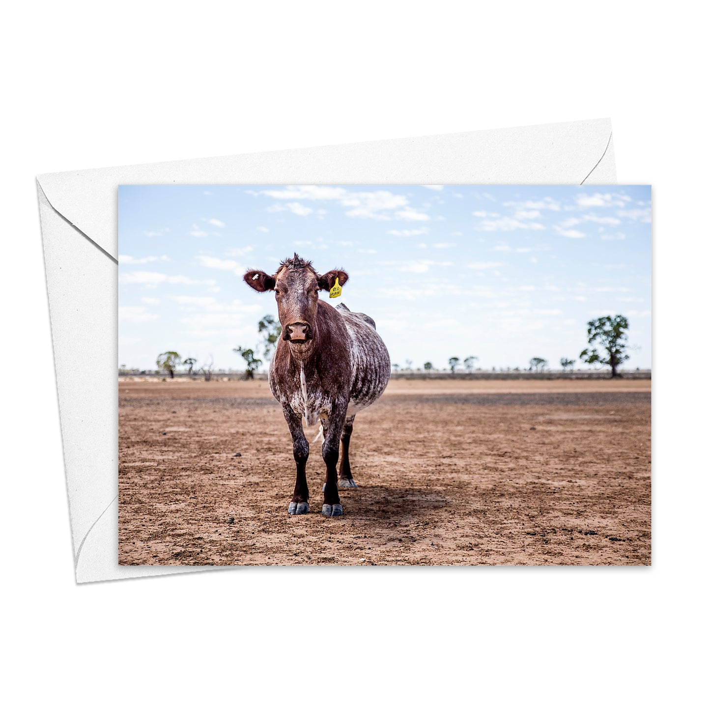 Lone Heifer greeting card
