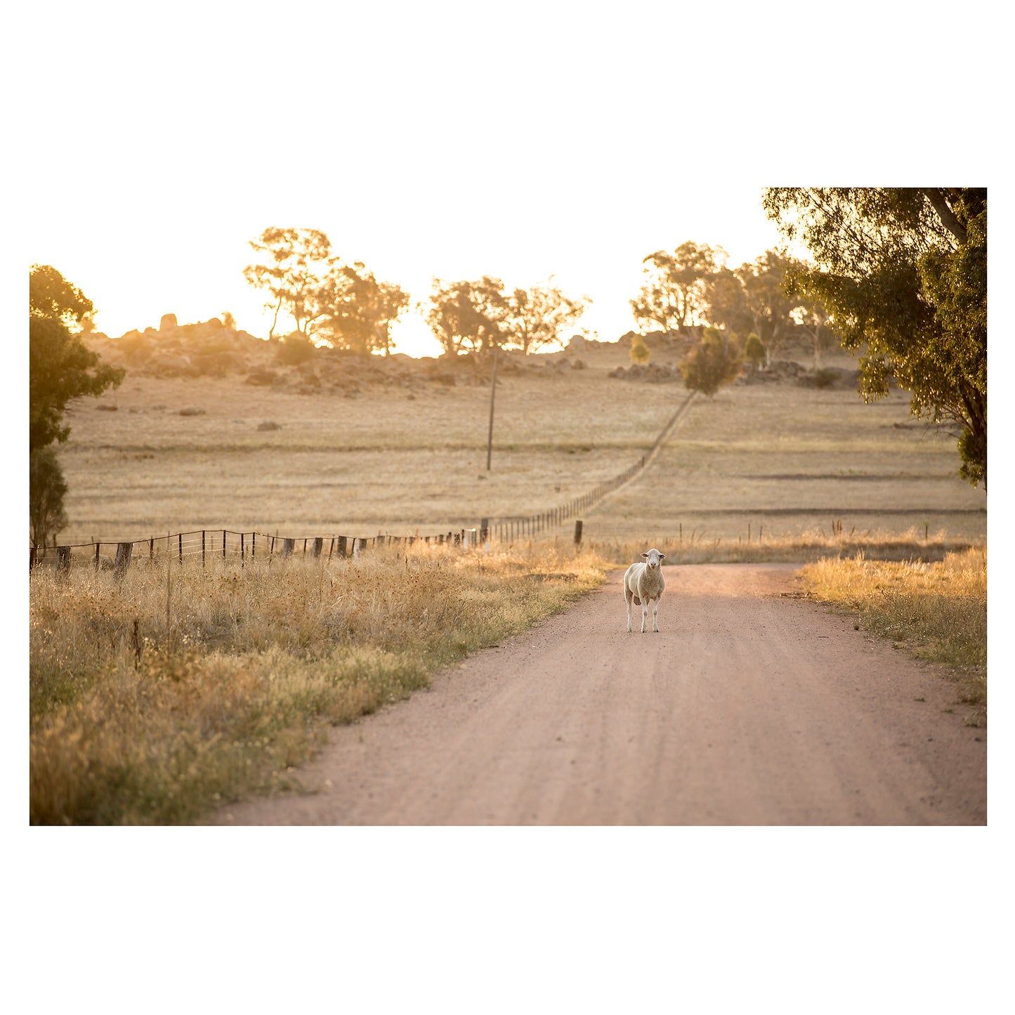 Mackey's Creek Road unframed print