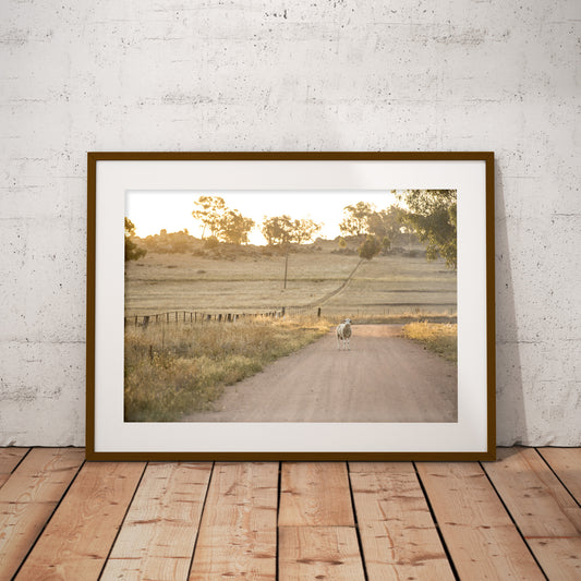 Mackey's Creek Road unframed print