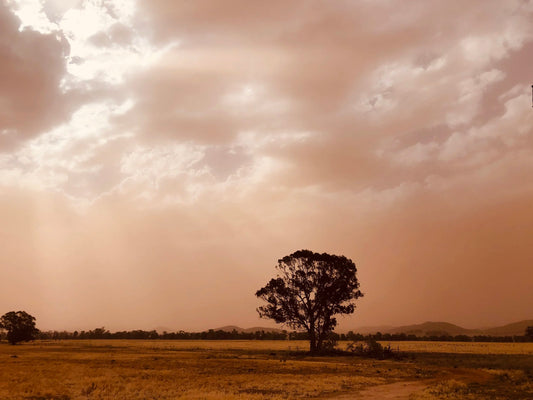 How you can help drought affected towns and businesses.