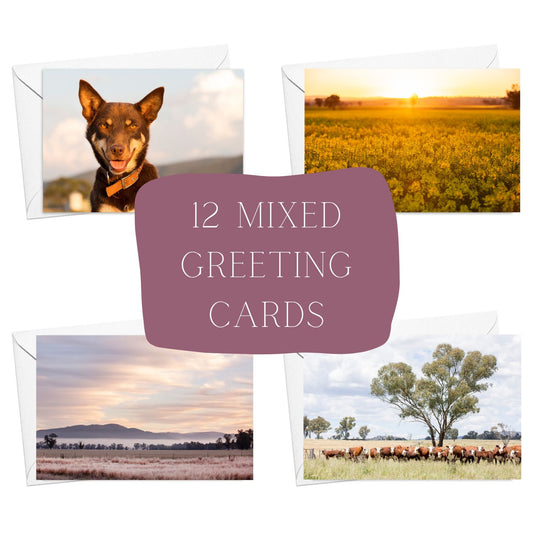 12 Mixed Greeting Cards