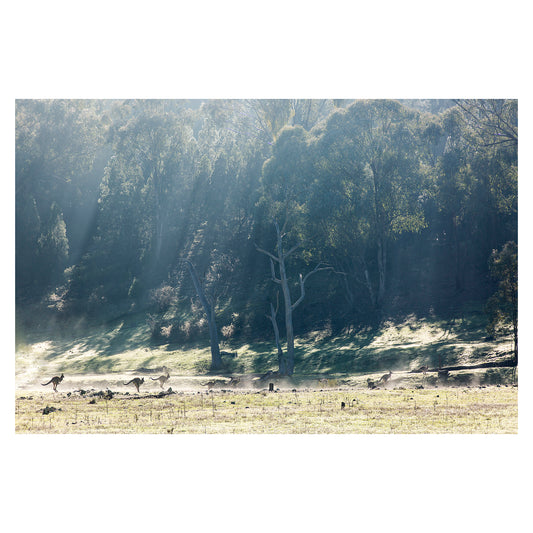 As the Fog Lifts unframed print