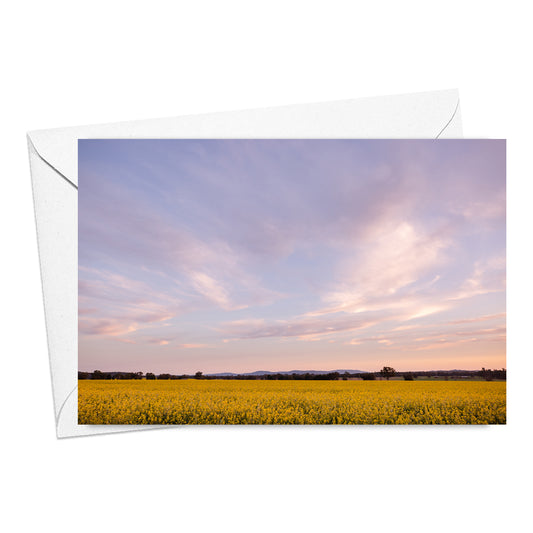 Canola Paddocks card