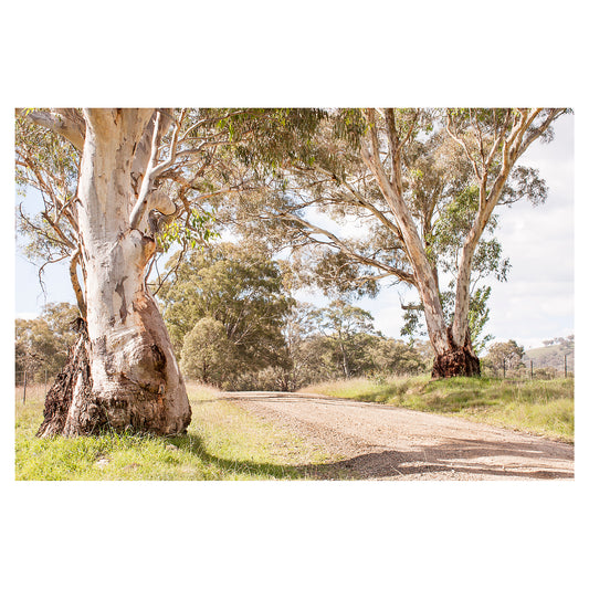Crudine Road unframed print