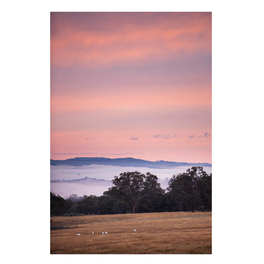 Duramana Dawn unframed print