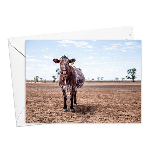 Lone Heifer greeting card