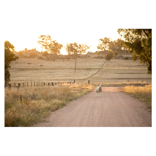 Mackey's Creek Road unframed print