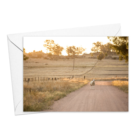 Mackey's Creek Road greeting card