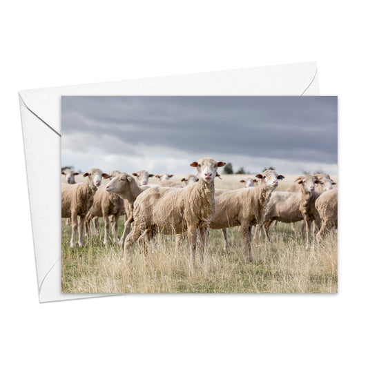 The Ewes greeting card