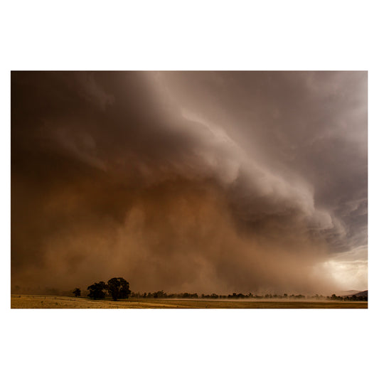 The Dust Storm unframed print